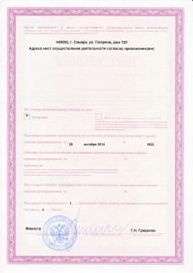 Лицензия (2)-page-0